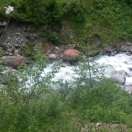 Eckis Schruns